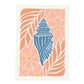 Seashell A4 Paint by Number Kit